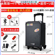 特美聲（TEMEISHENG）戶外廣場舞演出帶無線話筒大功率移動音響藍牙K歌拉桿音箱 旗艦版帶遙控+帶1套2.4G無線耳麥