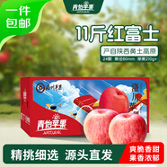 洛川蘋(píng)果青怡陜西紅富士11斤盒裝 單果210g起 新鮮水果源頭直發(fā)包郵