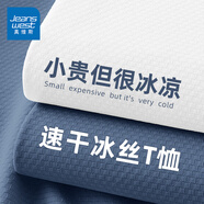 真維斯（Jeanswest）高端抗皺短袖男款夏季新款冰絲防曬t恤男訓(xùn)練健身海藍(lán)色半袖衫薄 海藍(lán)色(純色) 2XL /185(體重160-180斤)