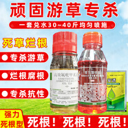 抗性頑固游草油草專殺稻李氏禾專殺除草劑死根滅草劑 【游草茅草蘆葦專殺】*1套