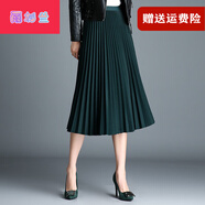 【特價(jià)撿漏】高檔輕奢百褶裙半身裙中長(zhǎng)款女春秋2022秋冬新款顯瘦單裙垂感大擺百折長(zhǎng)裙雨杉蘭 墨綠色 均碼 1尺8-2尺5