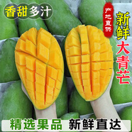 果燃彬彬正宗進口越南大青芒果當(dāng)應(yīng)季時令熱帶水果大青皮金煌芒果整箱 【中果】單果約8兩 3斤/普通快遞