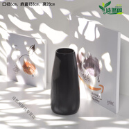 高級感法式黑色花瓶 北歐簡(jiǎn)約創(chuàng  )意干花花瓶家居桌面插花客廳水培 玉容(黑)