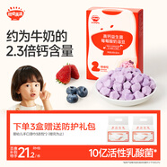 秋田滿滿高鈣益生菌酸奶溶豆莓莓味寶寶兒童零食易吞咽享嬰兒食譜18g 6月+