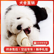 旺狗財貓古代牧羊犬幼犬活體古牧純種寵物狗狗古牧犬大型犬 血統(tǒng)級 公