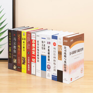 現(xiàn)代中式文藝裝飾書假書攝影道具模型樣板間咖啡廳桌面仿真書擺件 經(jīng)濟(jì)套裝2號(hào)【12本】 混搭
