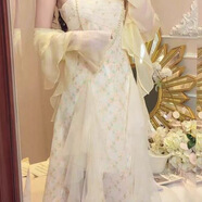 榮西圖（RONGXITU）2025夏季新款法式碎花蕾絲網(wǎng)紗吊帶連衣裙仙女仙絕美長(zhǎng)裙兩件套 杏色吊帶(不帶項(xiàng)鏈) 9321 L 106-116斤