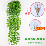 仿真常春藤綠植壁掛裝飾植物假花藤條塑料花吊蘭室內掛壁吊籃垂吊 西瓜2束+壁掛藍+掛鉤