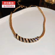 巴克樂樂歐美金屬重工設(shè)計(jì)項(xiàng)鏈復(fù)古經(jīng)典條紋鎖骨鏈頸鏈新潮鑲鉆奢華項(xiàng)飾女 項(xiàng)鏈-金色
