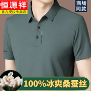 恒源祥品牌高檔無痕桑蠶絲短袖T恤男士夏季新款商務(wù)休閑真絲體恤爸爸裝 豆綠【高檔桑蠶絲】 XL 175/92A 建議135-150斤