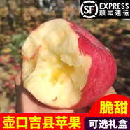 吉縣蘋(píng)果山西壺口特產(chǎn)紅富士脆甜多汁農家種植蘋(píng)果孕婦寶寶水果 9斤（精美禮盒裝） 【85mm含-90mm不含】