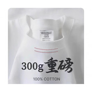 灰綠色500g重磅純棉純白色短袖T恤內(nèi)搭上衣半袖抗皺T恤男重磅高端 象牙白【高品質(zhì)300GT恤】 XL 【建議150-170斤】