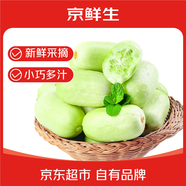 京鮮生 山東玉女小黃瓜 凈重5斤 單果80g+ 青瓜拇指黃瓜蔬菜源頭直發(fā)