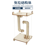玩小匠DIY張拉整體結構體學生手工科學實驗兒童 發(fā)明科技小制作益智教具 張拉結構體材料包