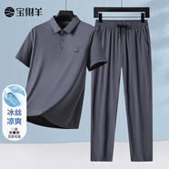 寶財(cái)羊父親節(jié)禮物實(shí)用爸爸夏季套裝冰絲t恤男短袖POLO衫中老年人上衣 灰色 L (175)