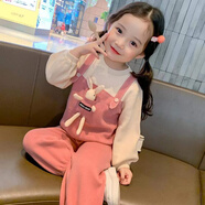 惠奴比童裝女童季套裝2025新款中小童韓版秋洋氣2到7歲寶寶兩件套潮2025 粉色套裝(偏小一碼) 120