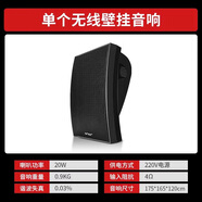 先科（SAST）D1無(wú)線(xiàn)音箱商用藍牙掛墻壁掛音響重低音餐廳市喇叭家用3D環(huán)繞背景音樂(lè )廣播室內飯 單個(gè)方形無(wú)線(xiàn)壁掛音箱20W黑色