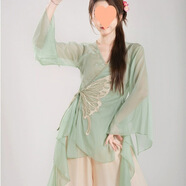 單南衛(wèi)古典舞服裝小個(gè)子古風(fēng)身韻紗衣練功服飄逸中國(guó)舞舞蹈服演出服套裝 嫩葉綠蝴蝶款紗衣 M 95到110斤