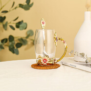 紅鐵普 輕奢琺瑯彩水杯茶杯子家用個(gè)性玻璃杯琺瑯杯花茶杯咖啡杯個(gè)性玻 高款水杯+琺瑯勺-無(wú)蓋 350ml 1只