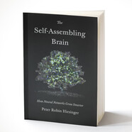 自我組裝的大腦 The Self-Assembling Brain AI技術 進口原版 英文書