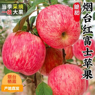 正宗山東煙臺紅富士蘋果9斤新鮮水果當(dāng)季脆甜冰糖心蘋果不打蠟L5 凈重3斤中果【精選現(xiàn)摘】