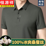 恒源祥品牌高檔無痕桑蠶絲短袖T恤男士夏季新款商務(wù)休閑真絲體恤爸爸裝 草灰【高檔桑蠶絲】 XL 175/92A 建議135-150斤