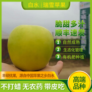 豐碩優(yōu)果 RICH AND EXCELLENT FRUIT陜西白水瑞雪蘋(píng)果脆甜青蘋(píng)果綠蘋(píng)果二級果專(zhuān)拍 4.5斤 微瑕疵【順豐】