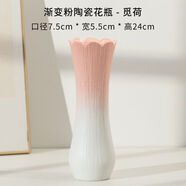 奇物說(shuō)小清新漸變簡(jiǎn)約花瓶桌面擺件ins風(fēng) 水養(yǎng)鮮花陶瓷花瓶插花水培花器 粉口（高24CM）覓荷*可裝水