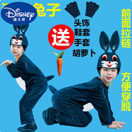迪士尼（DISNEY）十二生肖兒童動物演出表演服裝老鼠老虎小雞兔子羊狗豬蛇馬牛衣服 深灰兔 120 碼身高110-120厘米