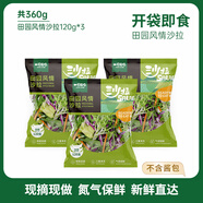 一號農場開袋即食田園風情沙拉120g*3混合蔬菜沙拉包輕食健身代餐源頭直發(fā)