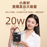 聽(tīng)為T(mén)NVI M2S小蜜蜂擴音器教師專(zhuān)用 無(wú)線(xiàn)領(lǐng)夾 教學(xué)導游講解員擴音廣告機老師上課用喇叭喊話(huà)雙麥克風(fēng) 單個(gè)無(wú)線(xiàn)藍牙音箱（不帶話(huà)筒）