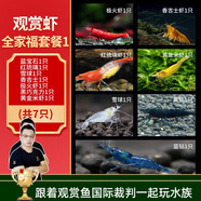 云峰海瑞黑殼蝦清潔蝦觀賞蝦 魚(yú)缸水族箱水草缸清潔除藻淡水 【漂亮清潔蝦】全家福套餐1