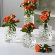 法式復古浮雕玻璃迷你花瓶ins鮮花透明水培插花桌面裝飾擺一個(gè) 精美四件-長(cháng)鉆+方形鉆+美少女+菠