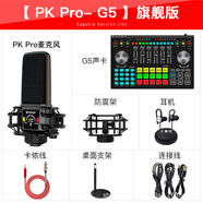 十盞燈G5主播設(shè)備電容麥克風(fēng)聲卡套裝支持臺(tái)式電腦手機(jī)k歌錄音 PKpro-G5精簡(jiǎn)版
