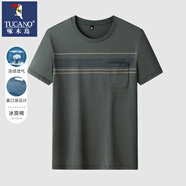 啄木鳥(niǎo)（TUCANO）爸爸夏裝短袖t恤男夏季中年男士絲光棉t恤中老年男裝條紋上衣男 SY2505軍綠 L /170【建議110-130斤】