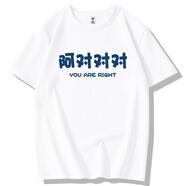 奧義馳純棉t恤男短袖百搭2025新款復(fù)古趣味文字啊對(duì)對(duì)對(duì)純棉寬松體恤衫 白色-對(duì)對(duì)對(duì) S 【70-80斤】