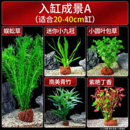瘋狂水草魚缸水草植物直接入缸火山石魚缸造景套餐20-40cm缸源頭直發(fā)包郵a