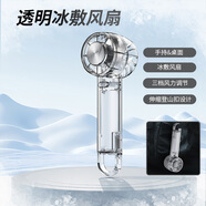 邦克仕（Benks）家用新款制冷手持風扇 usb充電登山扣半導體冰敷迷你透明小電風扇 W21-透明黑（帶制冷）