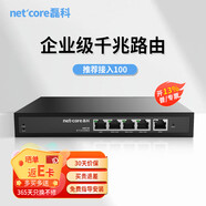 NETCORE全千兆多WAN口企業(yè)路由雙核高性能CPU穩(wěn)定待機(jī)200臺(tái) 【全千兆端口/帶機(jī)量100】NBR100