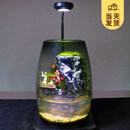 開(kāi)時(shí)果 生命之樹(shù)創(chuàng  )意微景觀(guān) 生態(tài)瓶禮物盆栽桌面綠植盆景源頭直發(fā)包郵 高山流水【單景觀(guān)-含內置水泵】