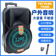 飛揚(yáng)紅日浪庭A12-65多功能廣場舞藍(lán)牙音箱K歌便攜式落地充 a12-65單話筒+萬能話筒