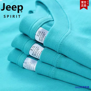 吉普（JEEP）品質(zhì)新疆棉重磅純棉圓領長袖T恤男士百搭寬松休閑內(nèi)搭打底衫衛(wèi)衣 湖藍色 -(厚實長) M 建議斤以下