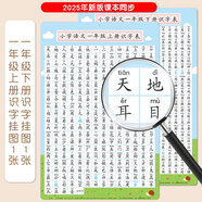 開(kāi)心寶貝一年級上冊識字表寶寶幼兒園小學(xué)生認字掛圖墻貼生字兒童幼小銜接 一年級單字識字掛圖上冊+下冊2張