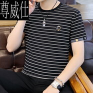 尊威仕（ZUNWEISHI）短袖t恤男2025新款條紋夏季薄款韓版潮流修身男士冰絲圓領透氣T恤 3307黑色 XL 【約120-140斤可穿】