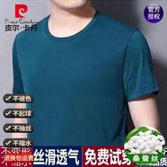 皮爾卡丹（pierre cardin）桑蠶絲男士短袖t恤圓領(lǐng)半袖夏季薄款純色冰 絲體恤衫真絲上衣 8581圓款領(lǐng) 綠色  L 170建議115-135斤