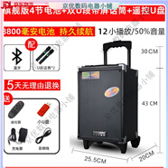 特美聲（TEMEISHENG）戶外廣場(chǎng)舞演出帶無(wú)線話筒大功率移動(dòng)音響藍(lán)牙K歌拉桿音箱 旗艦版帶遙控+帶2個(gè)U段帶屏話筒