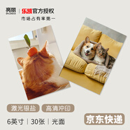 亮麗（SPLENDID）洗照片 照片沖印 洗相片寵物 貓咪 狗狗藝術(shù)照 樂(lè )凱相紙 6英寸 光面 30張
