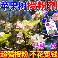 蘋(píng)果樹(shù)授粉花粉人工大櫻桃獼猴桃草梅坐座果精神催花?；▽?zhuān)用肥器 10袋裝【快速授粉】