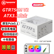 艾湃電競電源750w/850w金牌全模組GTR750M臺式機電腦電源ATX3.1 PCIE5.1全日系電容/十年保~GTi650M GTR750M V2 ATX3.1【白】贈風(fēng)扇*1 電源【贈螺絲刀】