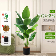 寧雪兒仿真發(fā)財(cái)樹(shù)盆栽室內(nèi)仿真花假花客廳落地裝飾綠植假樹(shù)樹(shù)塑料樹(shù)植物 13桿 仿真天堂鳥(niǎo)1.75M 含配草